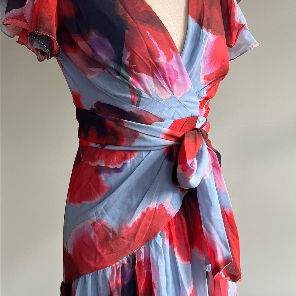 Anthology HUTCH ZOLA FLUTTER-SLEEVE WRAP MAXI DRESS - Picture 8 of 12